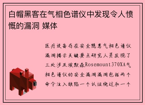 白帽黑客在气相色谱仪中发现令人愤慨的漏洞 媒体