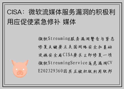 CISA：微软流媒体服务漏洞的积极利用应促使紧急修补 媒体