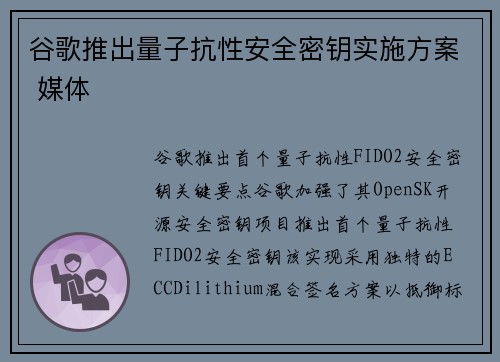 谷歌推出量子抗性安全密钥实施方案 媒体
