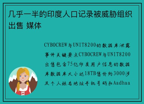 几乎一半的印度人口记录被威胁组织出售 媒体